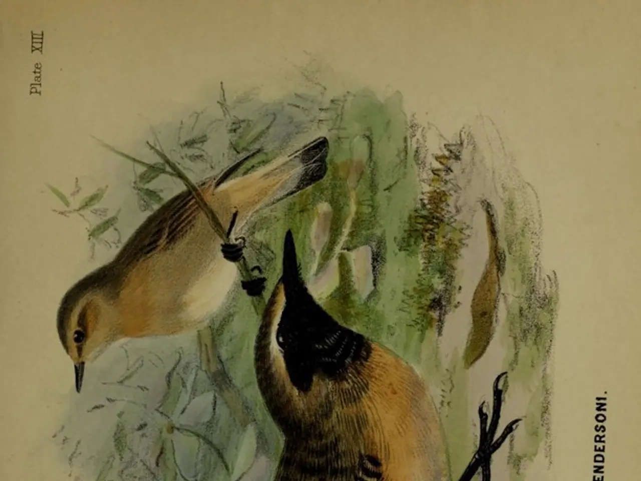 Top 10 Stunning Avian Species That Seem Bogus Yet Exist