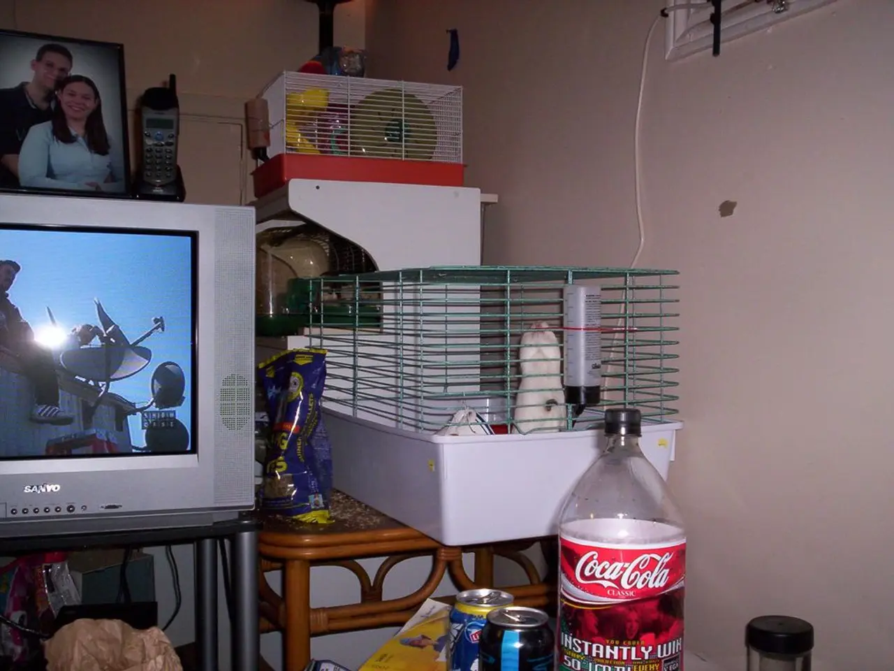 IPTV's Impact on Media Intake: The Evolution of Streaming Technology