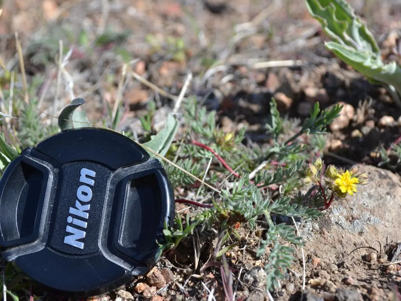 Kid-Friendly and Pet-Safe Lawn Design: An Examination of Titan Turf's Artificial Grass