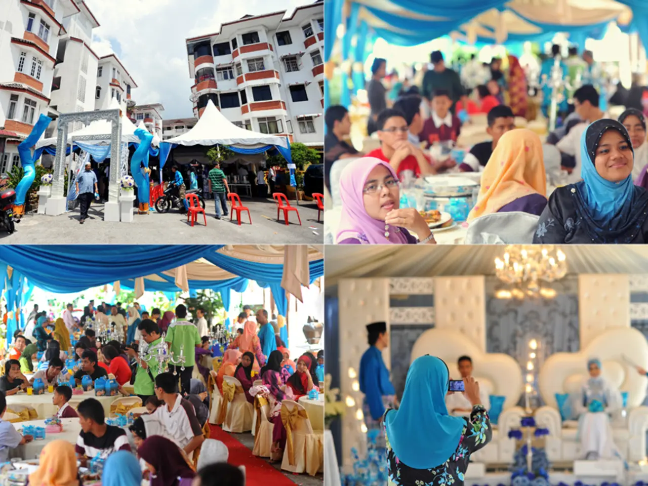 Māori Science and Design Fair Sponsored by PLD in Te Tūkohu