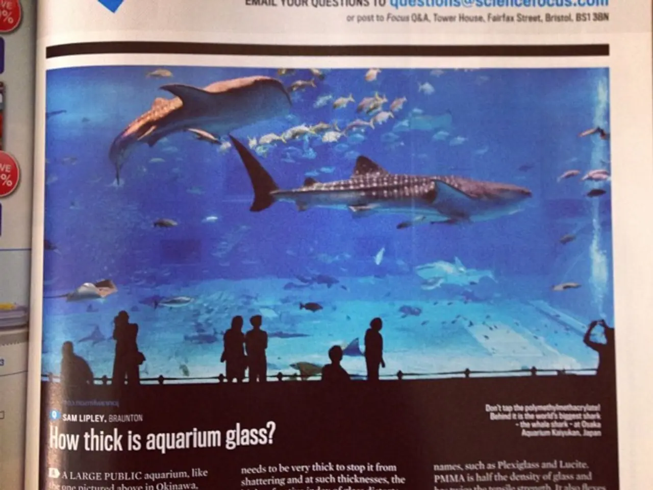 Animal journeys across the globe are decreasing at an alarming rate