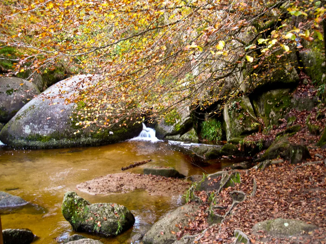 Granting of the "Urwaldprojekt" by Angelskirchen Municipality