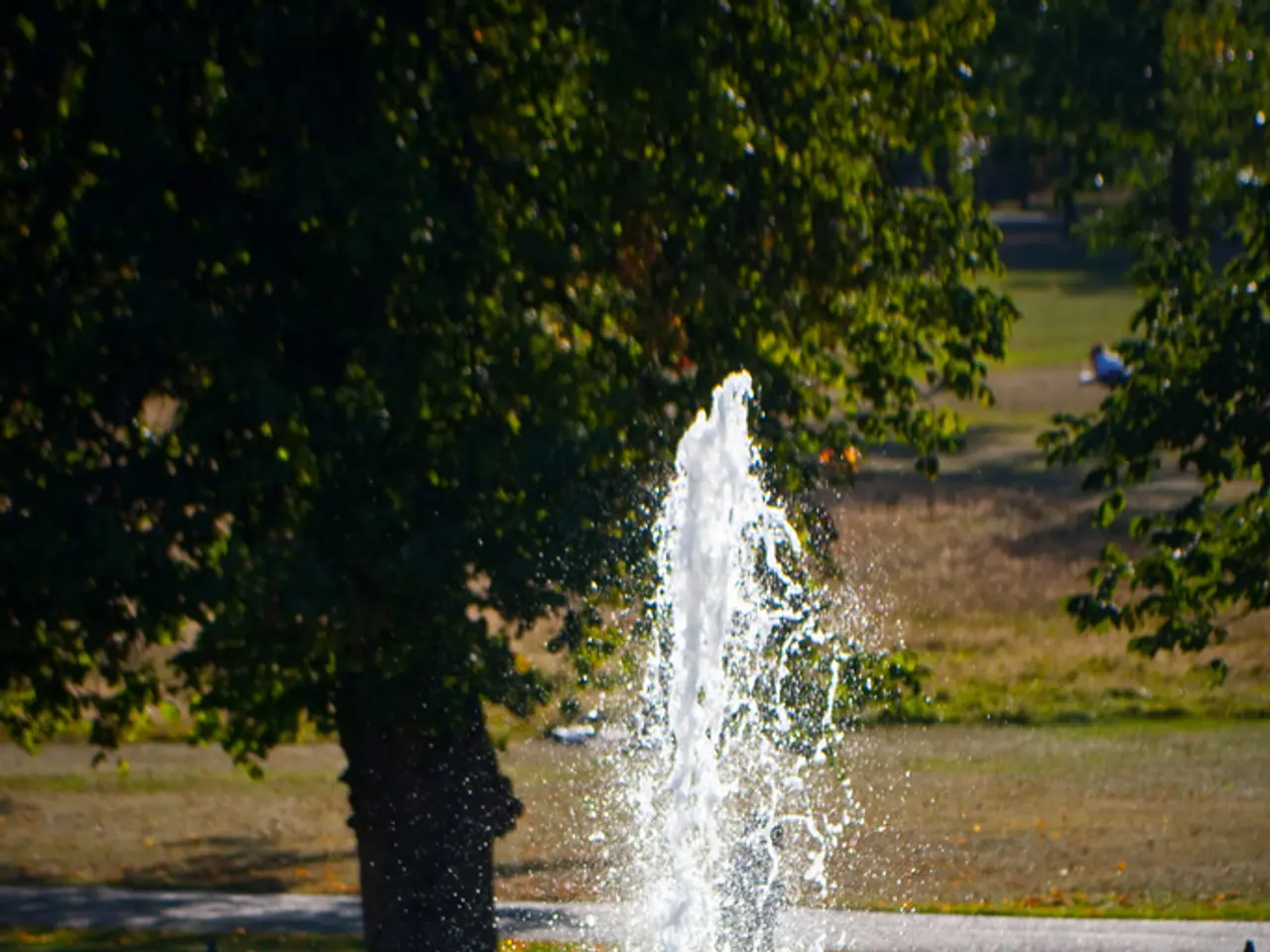 Countries Experiencing Severe Drought Conditions in Africa by 2025 (Ranked by Severity)