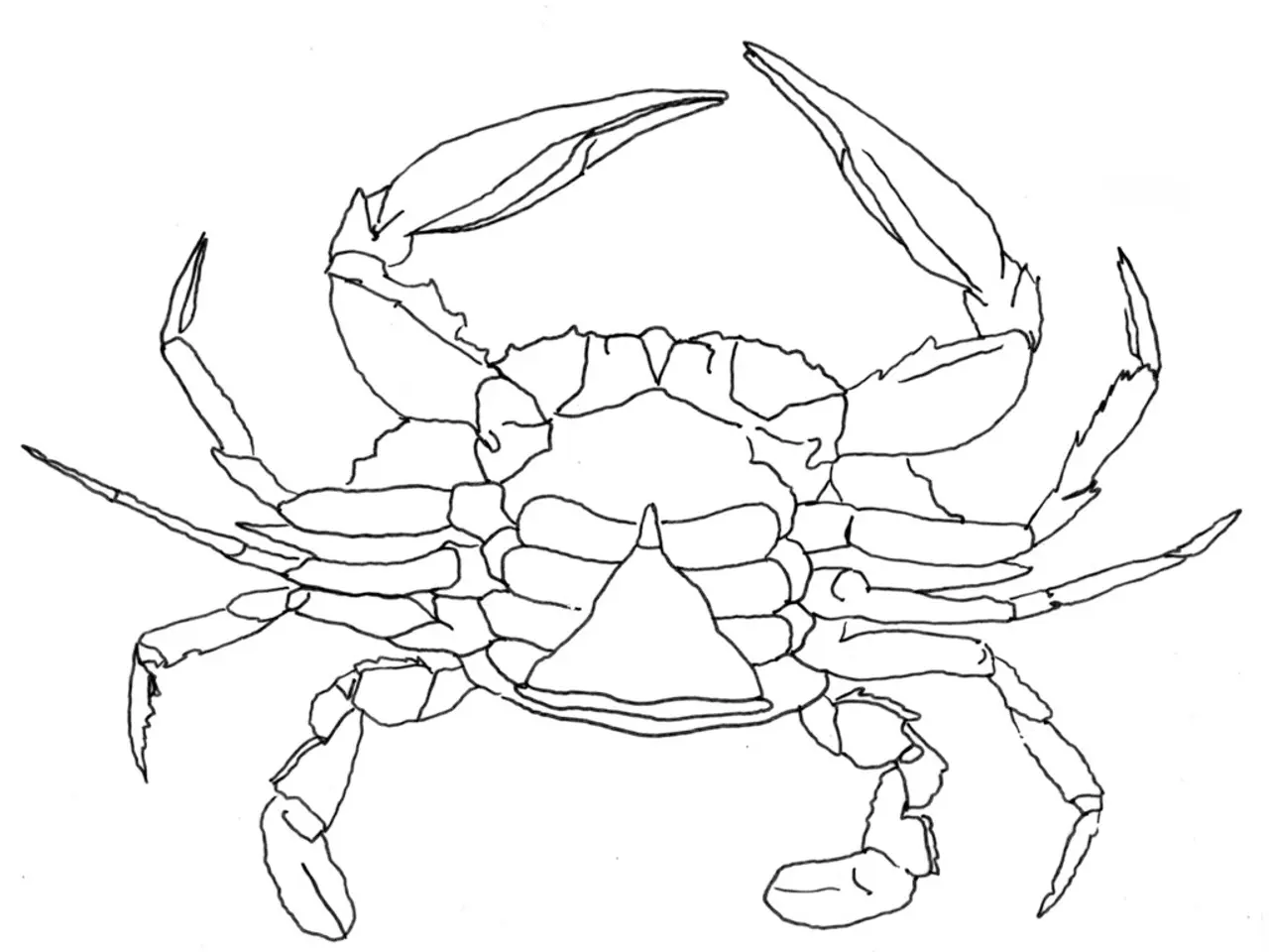 Redesigning the Iconic Crab Game Symbol: Crafting a Vivid and Recognizable Brand Logo