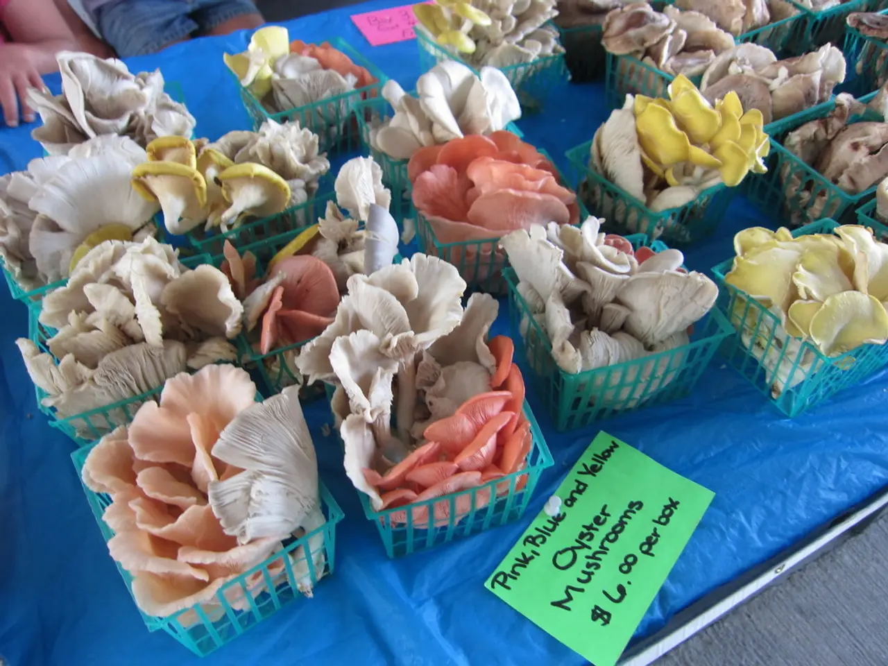 Solana's Price Dip: SOL Falls Behind Layer Brett as Analysts Deem 100x Projections Too Modest