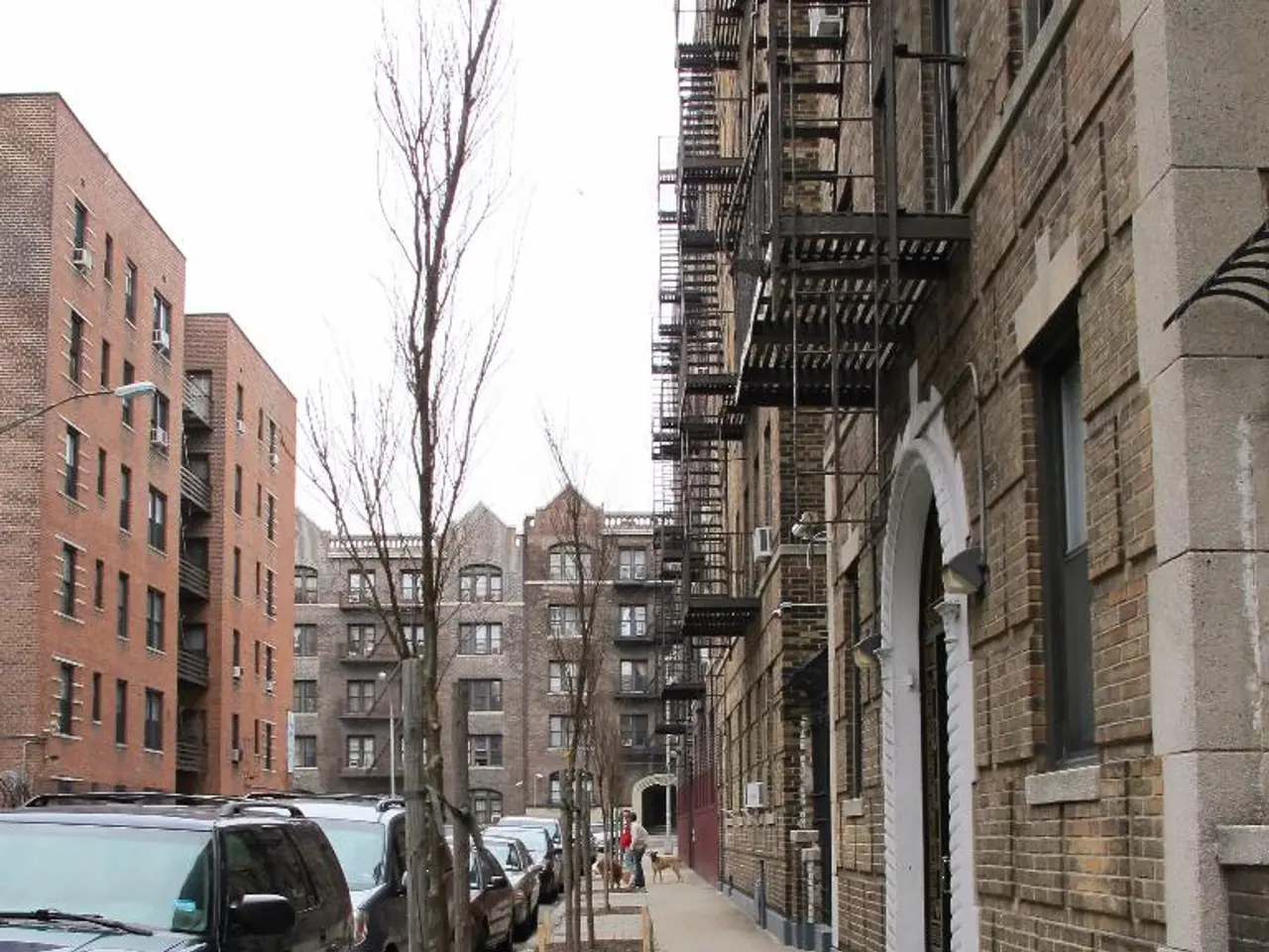 Government plans to establish a centralized business hub for corporations and revises the process...