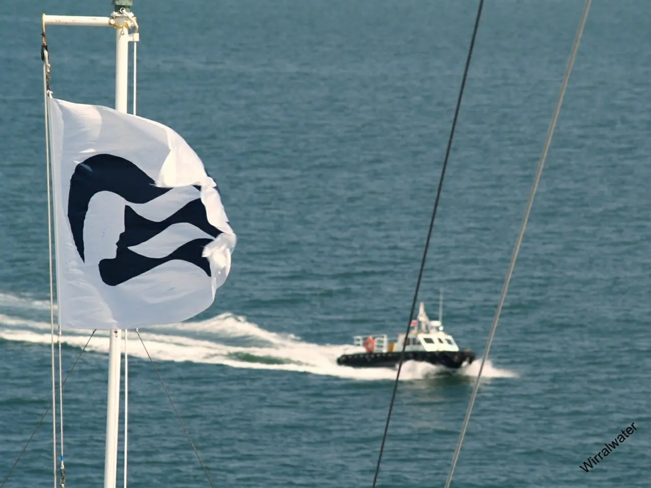 Beach-goers in Póvoa de Varzim may once again take a refreshing dip.