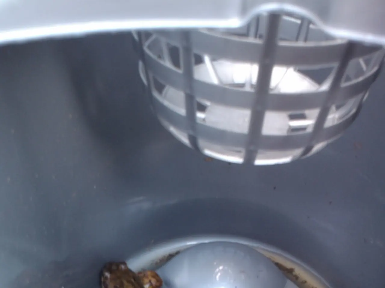 PhD researcher Alex Novarro: "Life spans a continuous range"