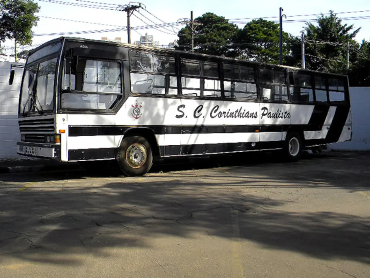 Unknown Shares of Practical Companies with Remarkable Expansion Opportunities