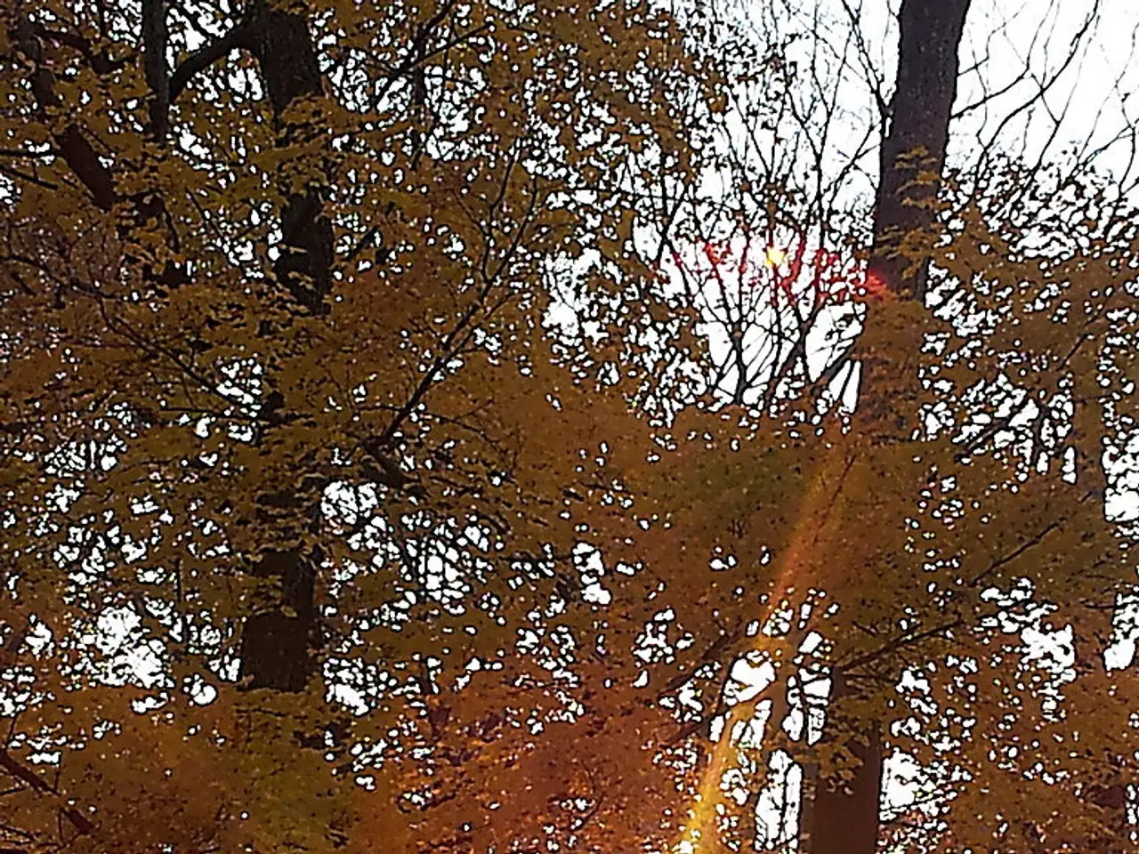 Heavy rainfall season ahead this summer