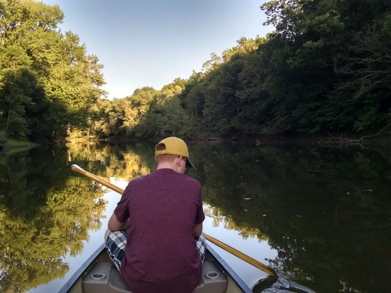 Latest developments in DBS application processes