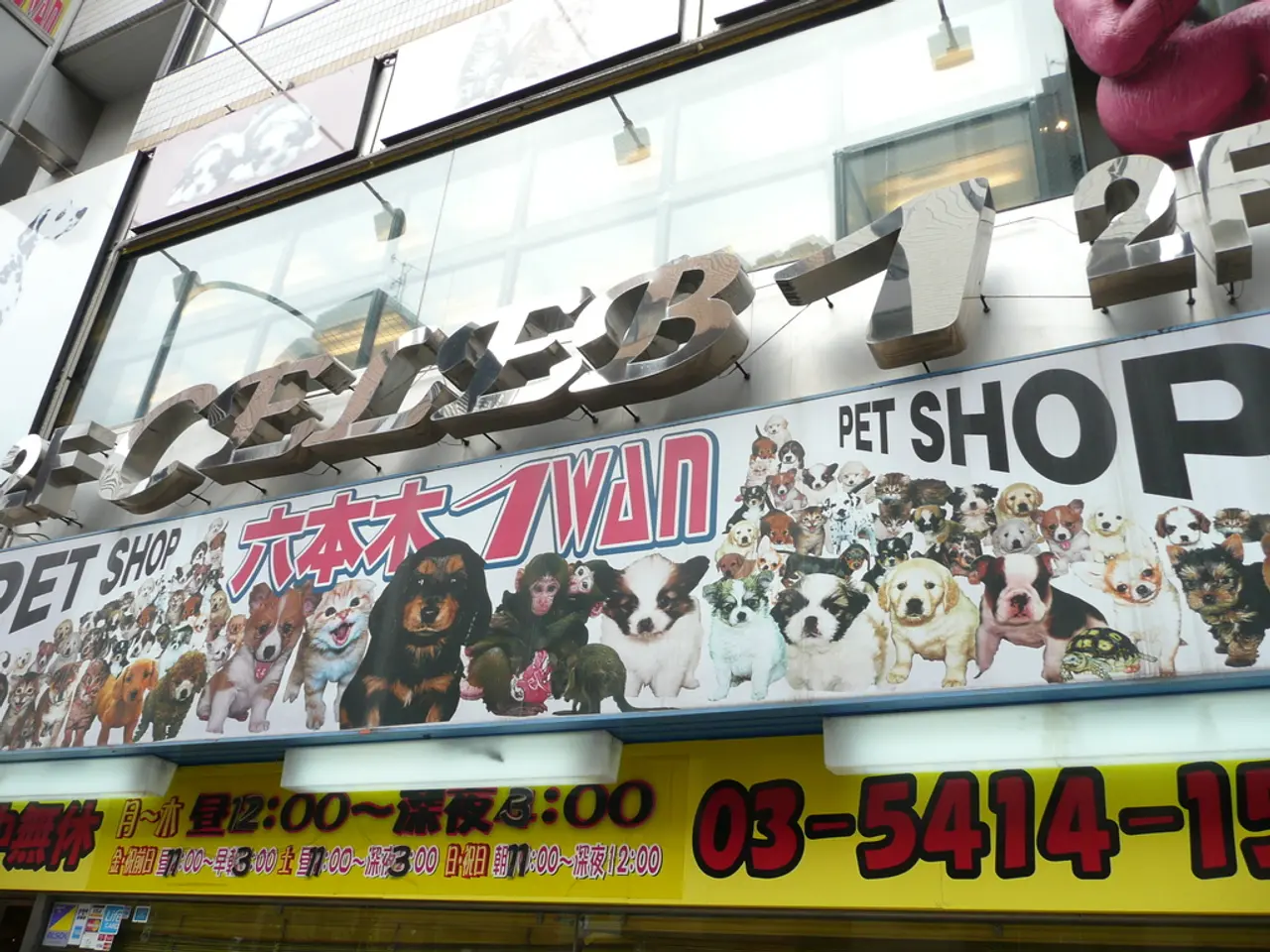 Ceramic artisans of Haferlmarkt show compassion by aiding a children's shelter