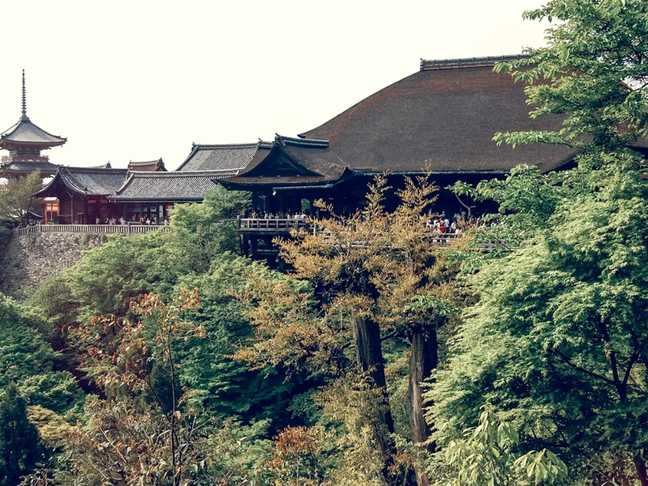 Discovered in a secluded cloud forest lie more than a hundred ancient structures, revealing the...