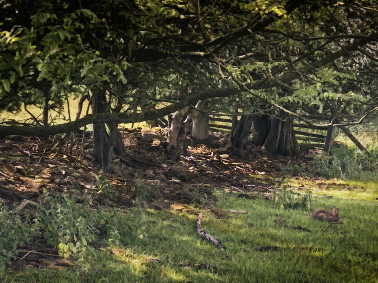 Seven Nature-Guided Meditation and Contemplation Practices that Harmonize with the Natural Rhythm