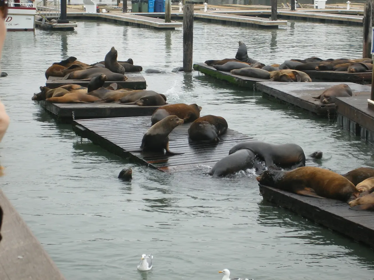 Protective Solutions for Subfloor Spaces and Cavity Encasement