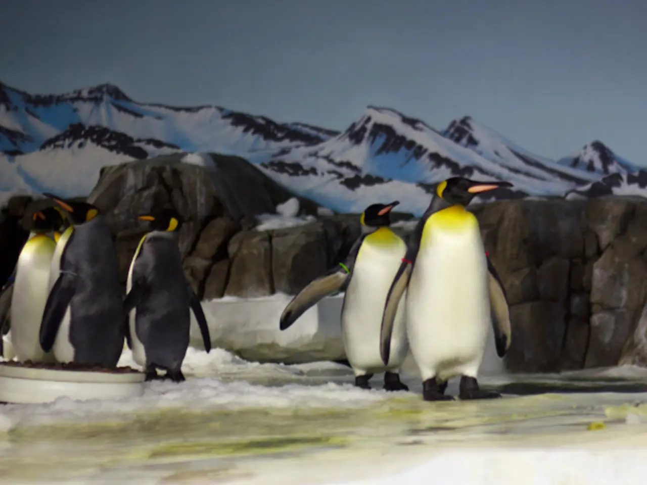 The Science on Sea-Level Rise: An Unbiased View