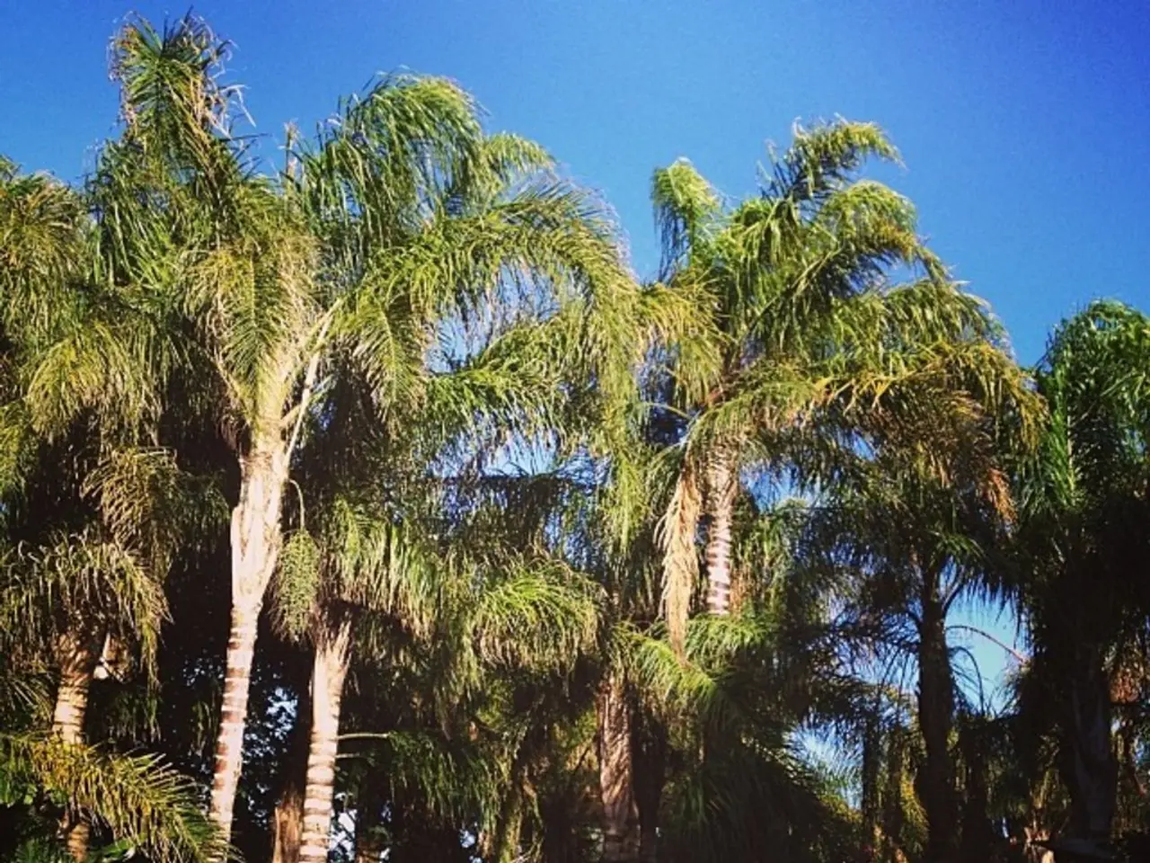 Six businesses have ceased operations due to lack of permits