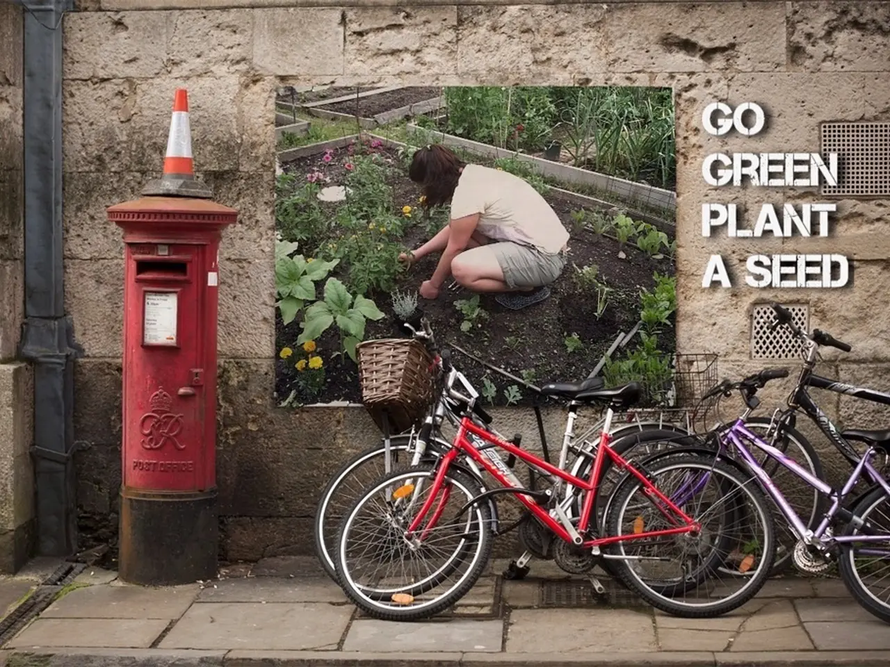 Outdoor enthusiasts rejoice as McCaw unveils groundbreaking safety application!