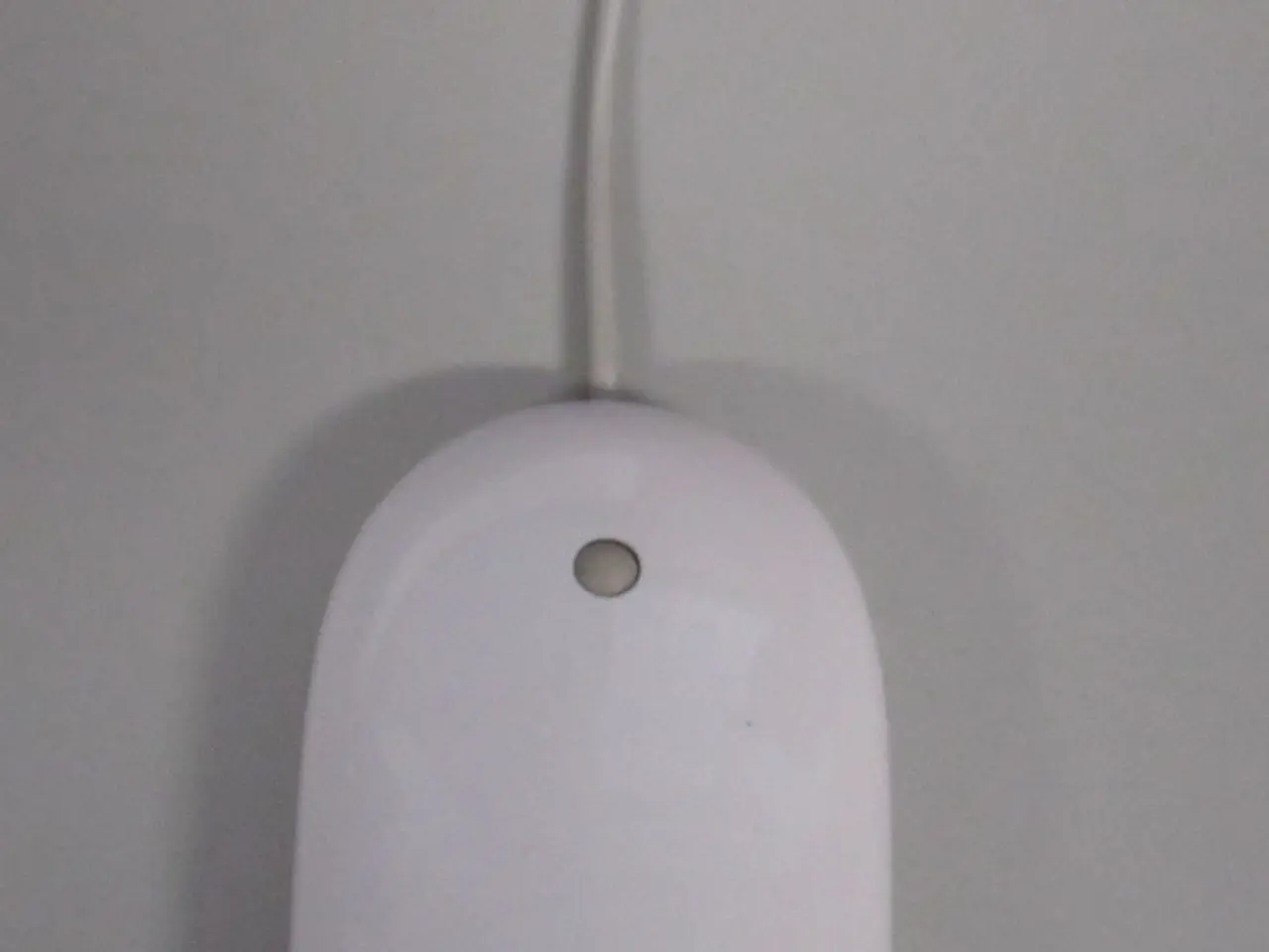 Researchers detail comprehensive brain activity during the decision-making process for the first...