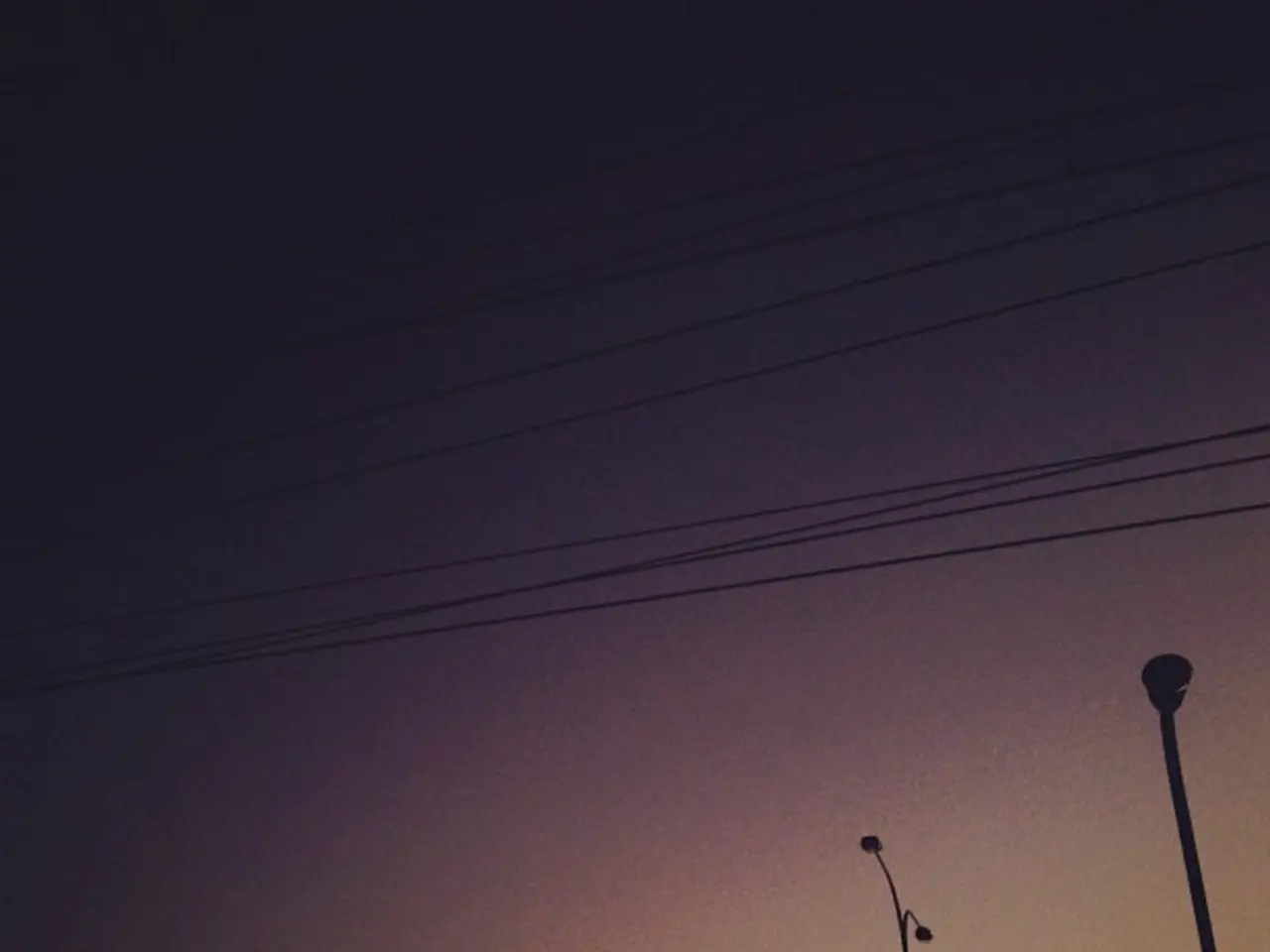 Bonsai Wiring Techniques: Insights into Applications and Benefits