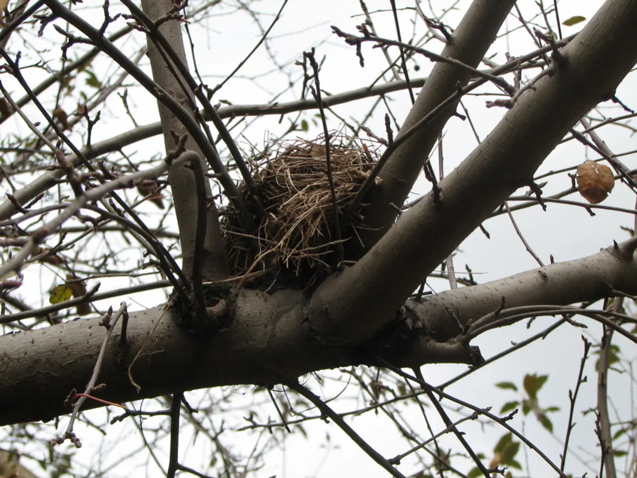 Former Nestlé executive openly discusses termination following affair, fresh allegations surface