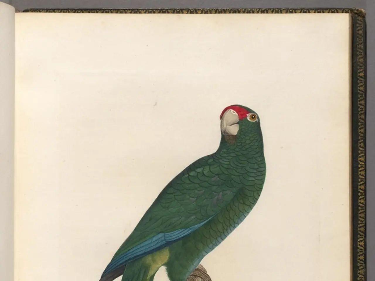 Cristiano Ronaldo establishes a new global milestone.