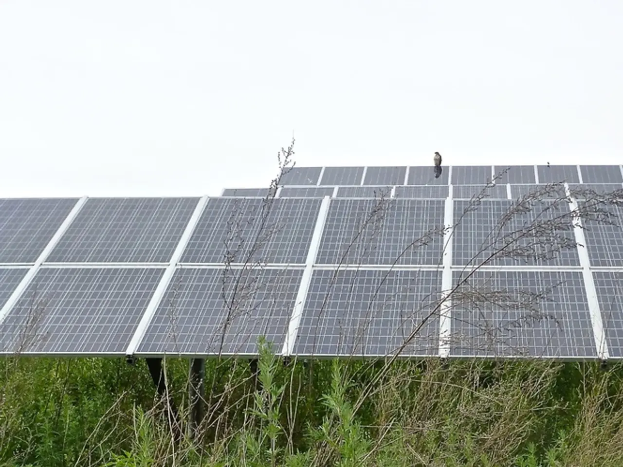 Solar Heat Waves Impact Solar Power Systems, Leading to Energy Losses