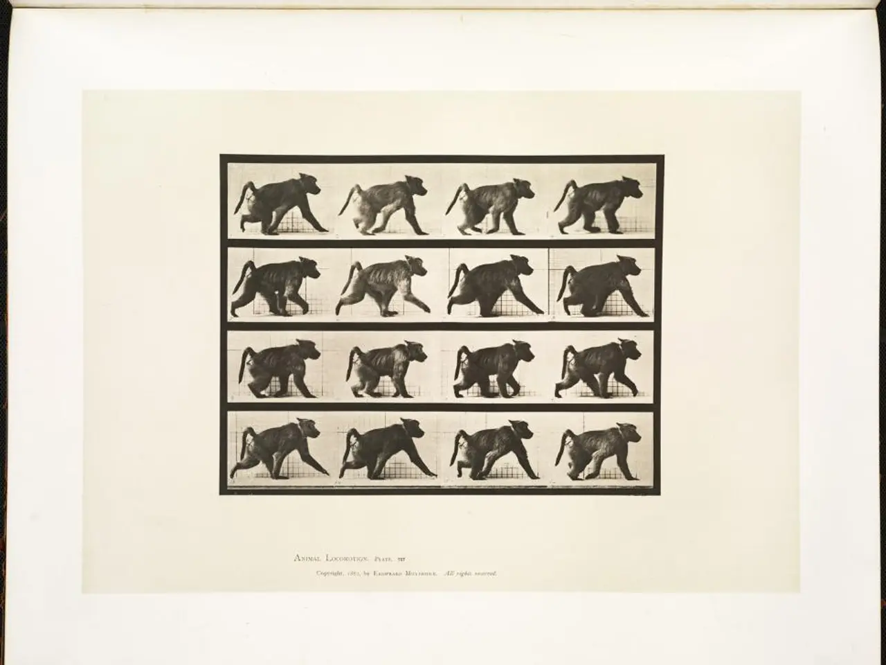 Moscow authorities detained an individual from Sochi on charges of deceitful financial practices.