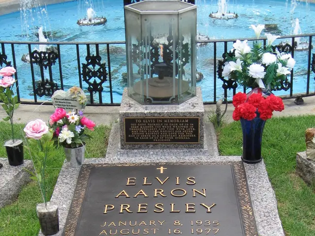 New Highlights in Online Slots for Week of July 4, 2025