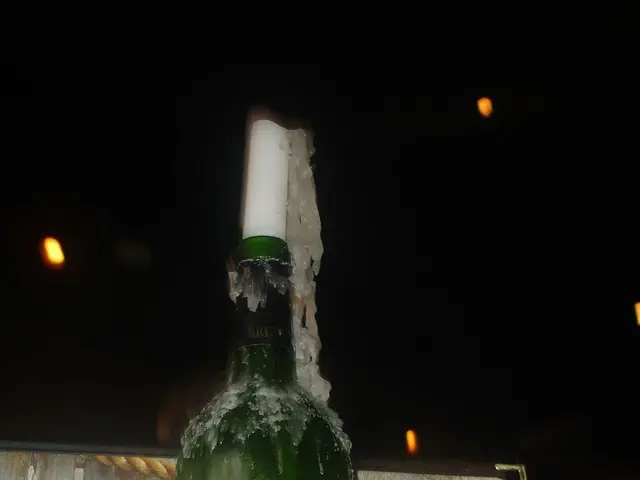 Unparalleled Spin Offers: No Deposit Needed, Immediate Winnings, Potential Real Income by 2025