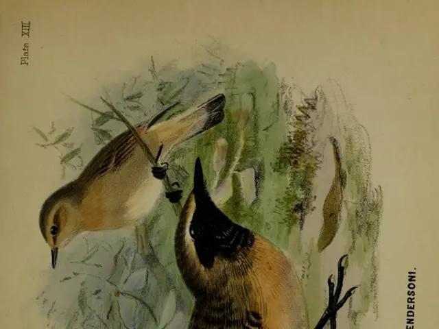 Top 10 Stunning Avian Species That Seem Bogus Yet Exist