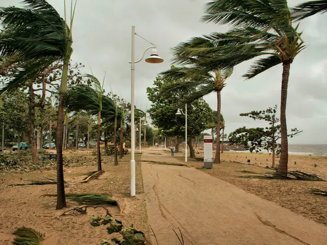 Medicare Advantage plans offered by BayCare: Information on locations, coverage, costs, and...