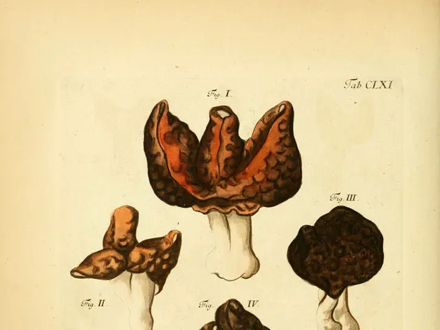 Breakthrough in Lung Cancer Treatment, Mushroom Supplements for PCOS, and Rapid Psilocybin...