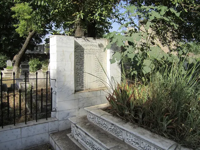 Burial Ground Established: Unique Burial Site Developed within Rees's Cemetery for Certain Funerals
