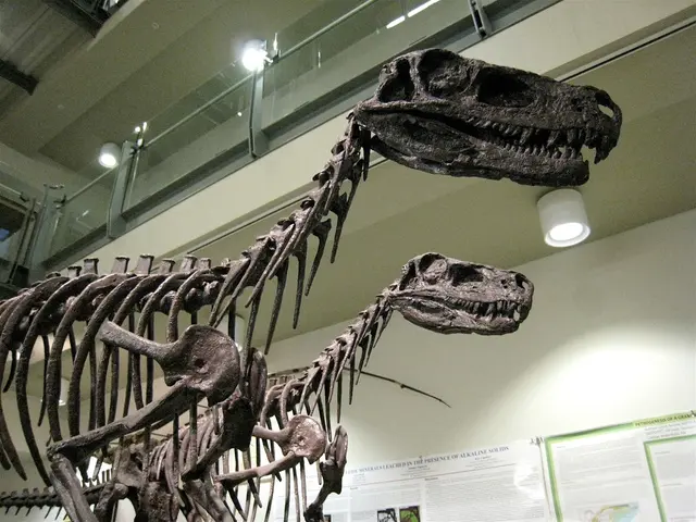Affluent Collectors Acquire T. Rex Fossils, Scientists Struggle to Gain Access