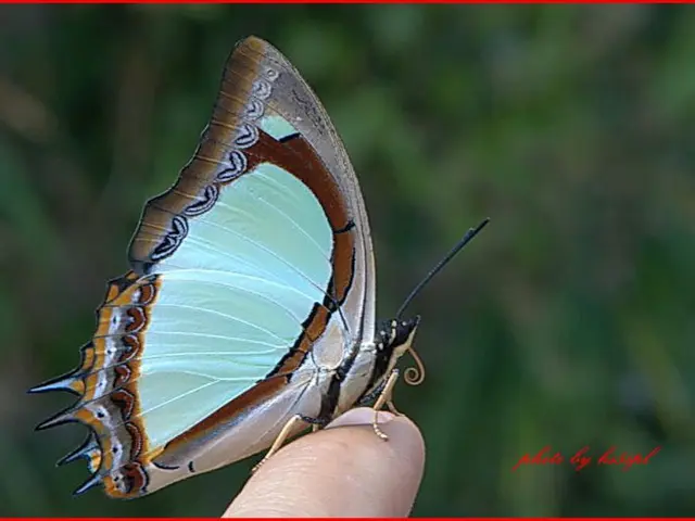 Stroke Affecting the Thalamus: Signs, Causes, Remedies, and Prognosis