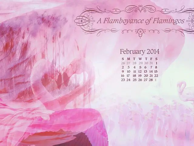 Future Life Transformations for Four Distinct Zodiac Signs Post-August 2025