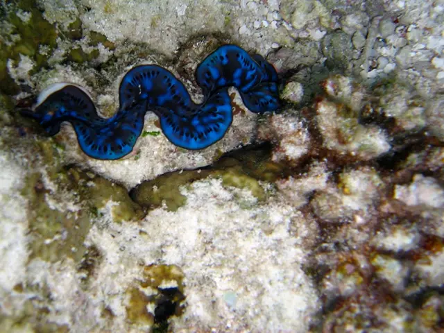 Festivities Mark the Enigma of the Deep-Sea Serpent on Sea Serpent Day Celebration