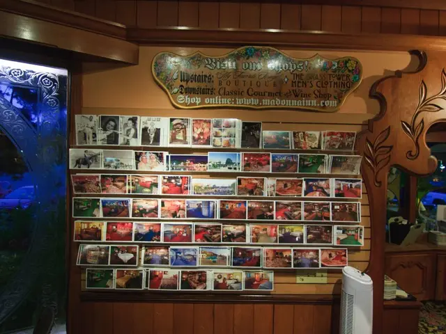 Exploration of Gnome Wood Online Casino Game