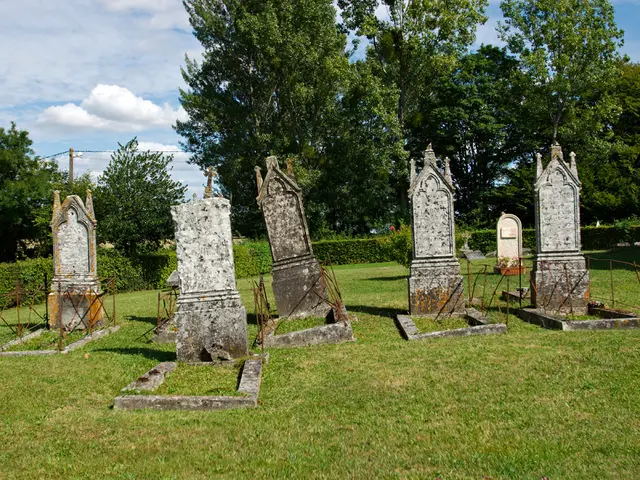 Nursing home, St. Luke's, bids farewell to longtime employee Beate Kalowsky, following a tenure of...