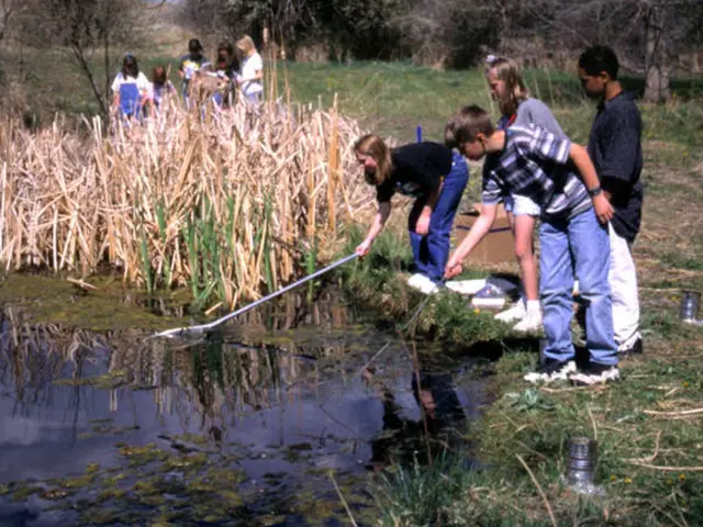 Dave Makes Another Phone Call