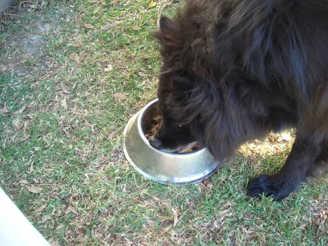 Risk of Refeeding Syndrome following malnutrition in Gaza and Sudan