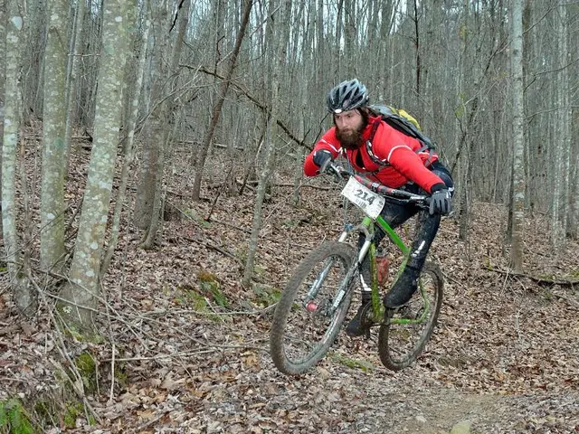 Sperm Damage from Oxidative Stress: Investigating the Impact of Reactive Oxygen Species (ROS)