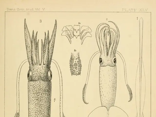 Regrowable Brain Ameboid Amphibian (Axolotl): A Creature that Remains Juvenile and Regenerates its...