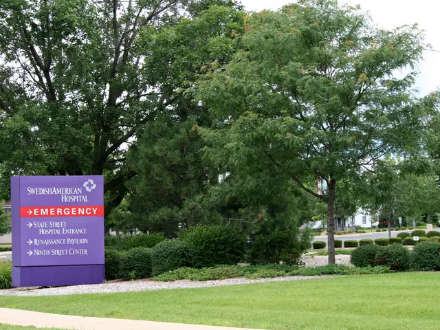 Catastrophic downpours in Maharashtra leave 8 dead and cause extensive damage to over 5.4 lakh...