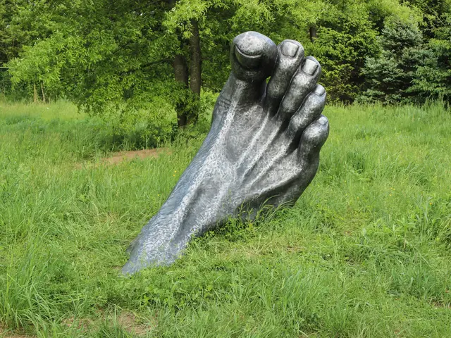 Freshly discovered lower leg bones in the vicinity of Hameln