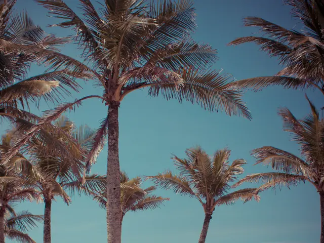 Delray Beach struggles to maintain Pride intersection amidst FDOT's threat of removal and financial...