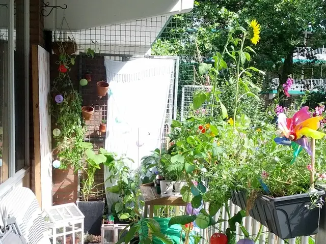 Transformed Outdoor Entertaining Spaces with 24 Rustic Patio Concepts