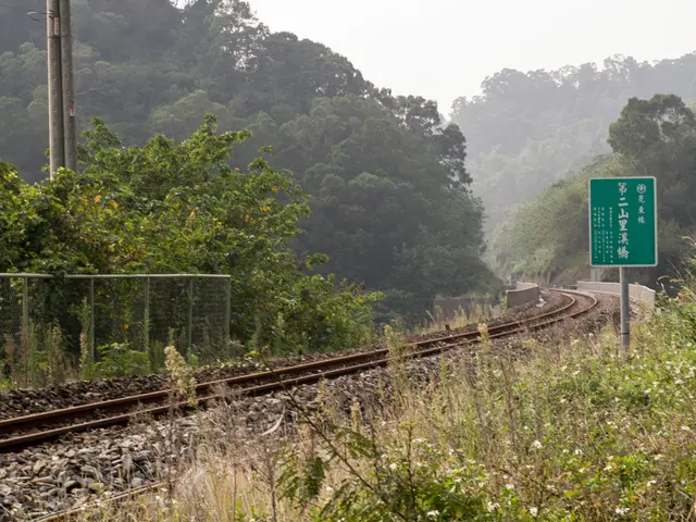 Leaderhood shouldn't be the domain of your top performer, argues an entrepreneur