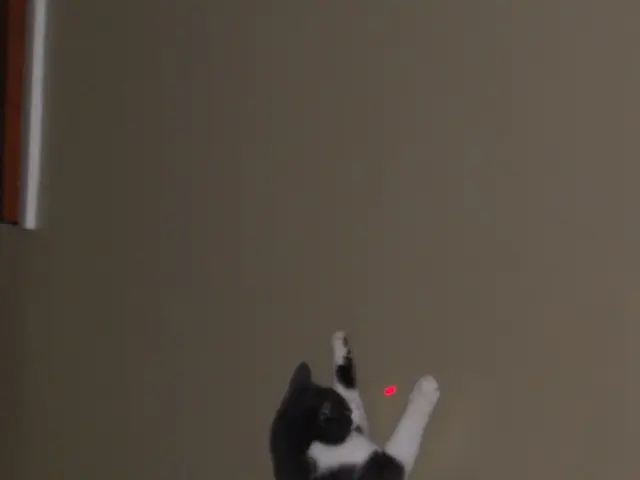 Recollecting Challenging Moments: A Personal Perspective from Princeton